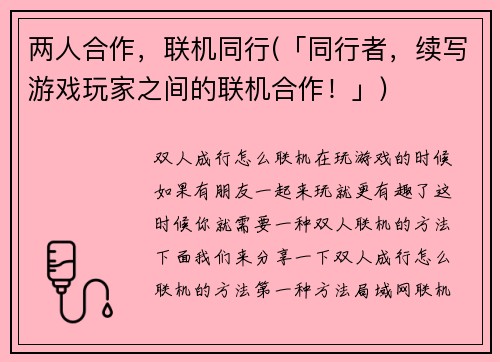 两人合作，联机同行(「同行者，续写游戏玩家之间的联机合作！」)